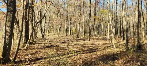 1 Summitville Rd, Morrison, TN 37357 photo 9