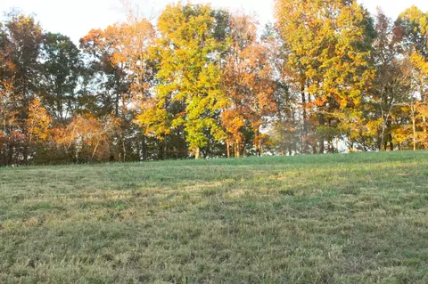 125 Miramare Way, Adams, TN 37010