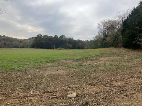 7 Booker Ridge Rd, Mount Pleasant, TN 38474 photo 3