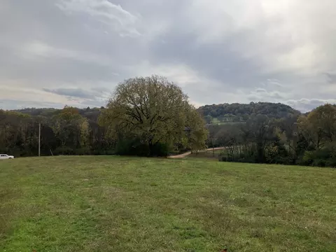 7 Booker Ridge Rd, Mount Pleasant, TN 38474