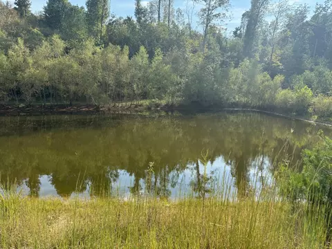 1108 Neergaard Ln, Dunlap, TN 37327 photo 12