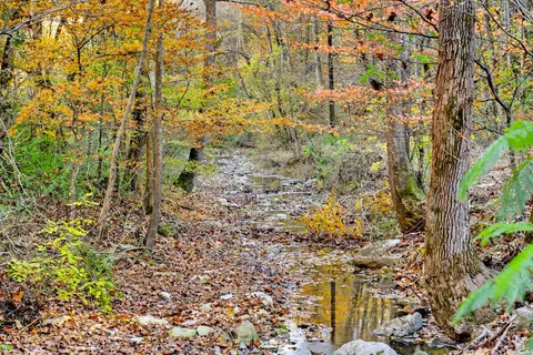 0 Rock House Hollow Rd, Westmoreland, TN 37186
