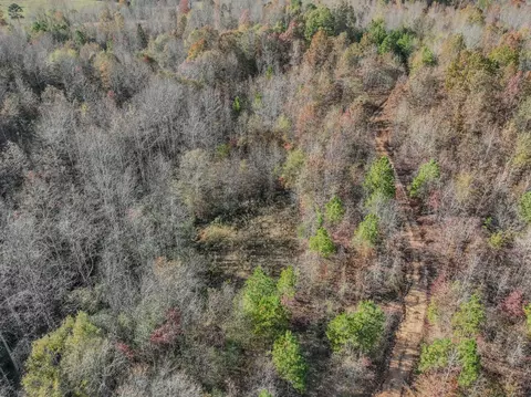 0 Hood Hollow Rd, Five Points, TN 38457 photo 7