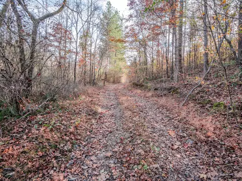 0 Hood Hollow Rd, Five Points, TN 38457 photo 14
