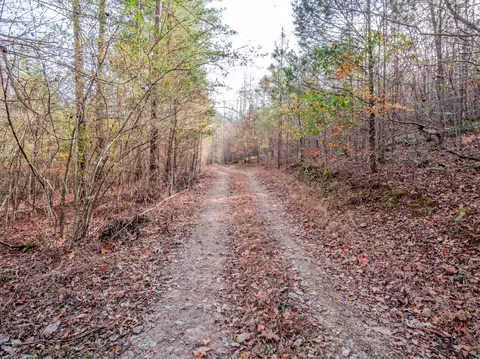 0 Hood Hollow Rd, Five Points, TN 38457 photo 16