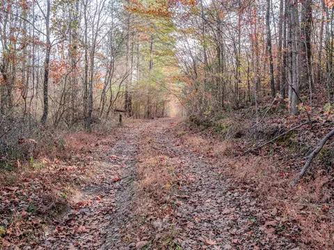 0 Hood Hollow Rd, Five Points, TN 38457 photo 12