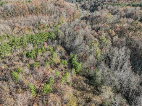 0 Hood Hollow Rd, Five Points, TN 38457 photo 8