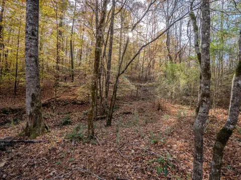 0 Hood Hollow Rd, Five Points, TN 38457 photo 19