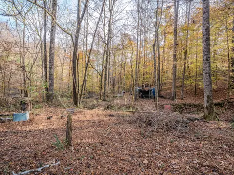 0 Hood Hollow Rd, Five Points, TN 38457 photo 18