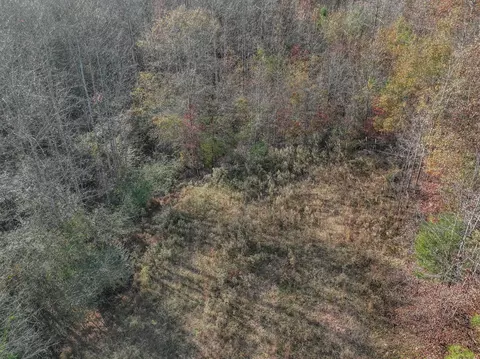 0 Hood Hollow Rd, Five Points, TN 38457 photo 5