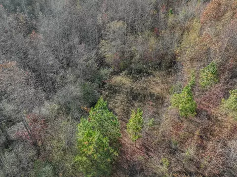 0 Hood Hollow Rd, Five Points, TN 38457 photo 6
