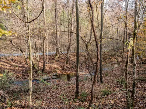 0 Hood Hollow Rd, Five Points, TN 38457 photo 23