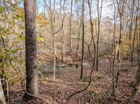 0 Hood Hollow Rd, Five Points, TN 38457 photo 22