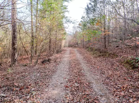0 Hood Hollow Rd, Five Points, TN 38457 photo 15