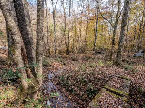 0 Hood Hollow Rd, Five Points, TN 38457 photo 21