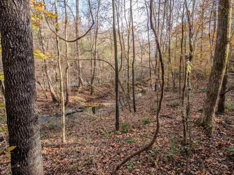 0 Hood Hollow Rd, Five Points, TN 38457 photo 24