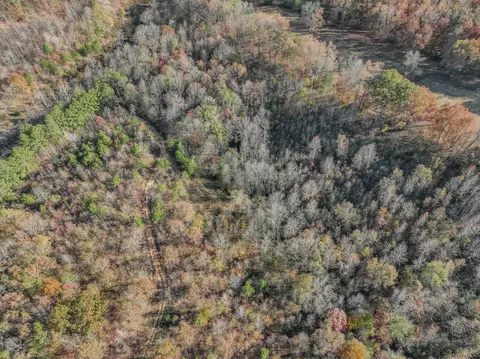 0 Hood Hollow Rd, Five Points, TN 38457 photo 9
