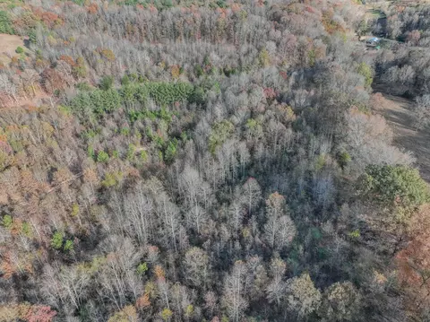 0 Hood Hollow Rd, Five Points, TN 38457 photo 10
