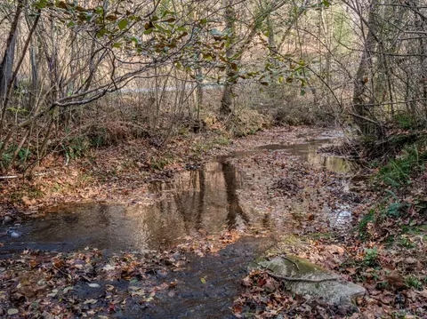 0 Hood Hollow Rd, Five Points, TN 38457 photo 11