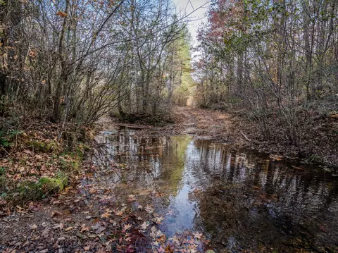 0 Hood Hollow Rd, Five Points, TN 38457 photo 27