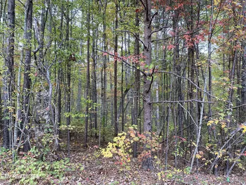 122 Acres Chuck Wagon Tr, Grimsley, TN 38565