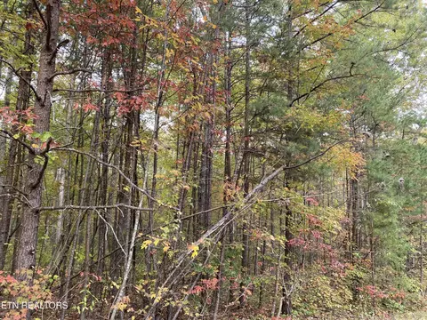 1171 Chuckwagon Tr, Grimsley, TN 38565