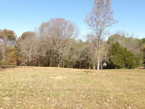 470 Powers Blvd, Waverly, TN 37185