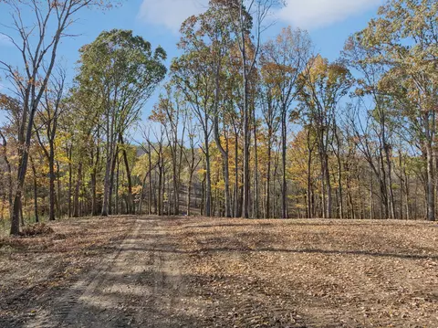 0 Palmer Rd, Lebanon, TN 37087