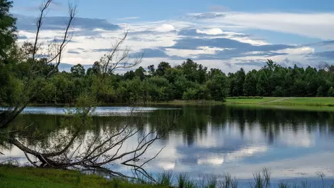 185 Reflection Dr, Dunlap, TN 37327 photo 83