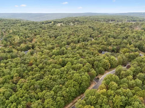 185 Reflection Dr, Dunlap, TN 37327 photo 79