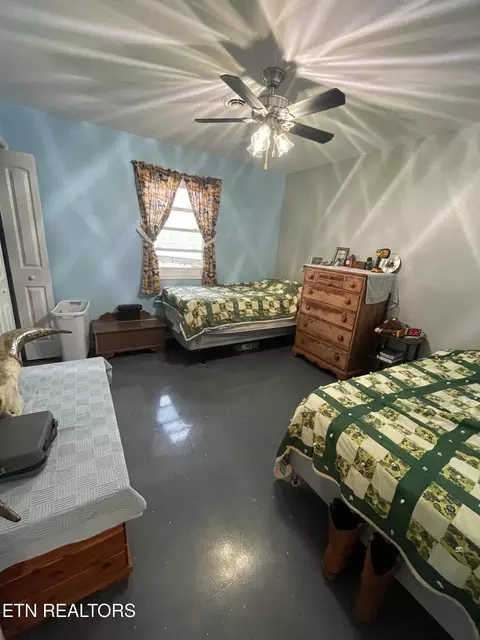 144 Standing Rock Rd, Deer Lodge, TN 37726 photo 19