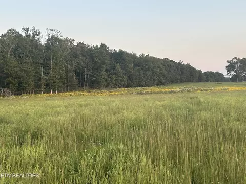 144 Standing Rock Rd, Deer Lodge, TN 37726 photo 32