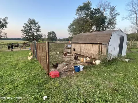 144 Standing Rock Rd, Deer Lodge, TN 37726 photo 10