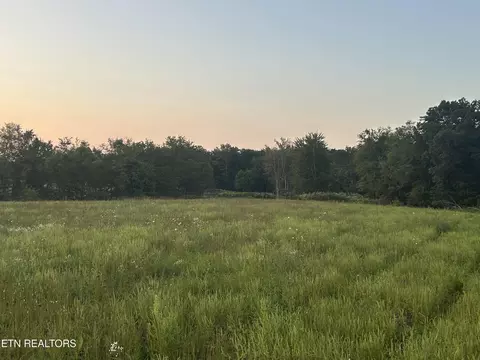 144 Standing Rock Rd, Deer Lodge, TN 37726 photo 30