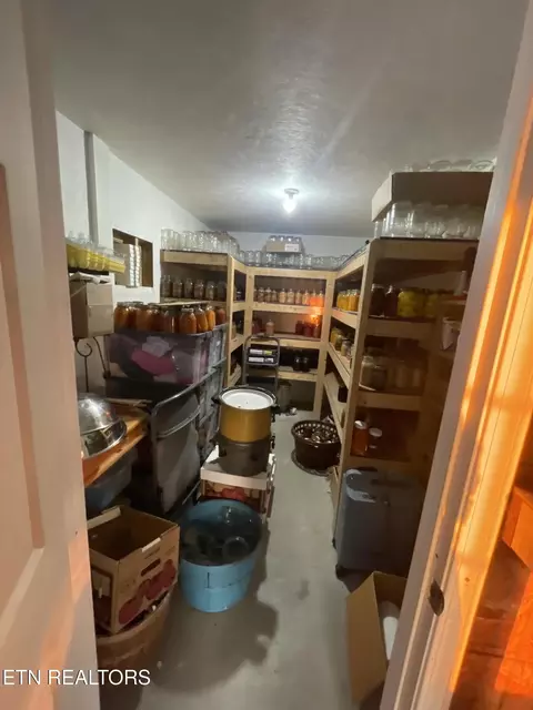 144 Standing Rock Rd, Deer Lodge, TN 37726 photo 15