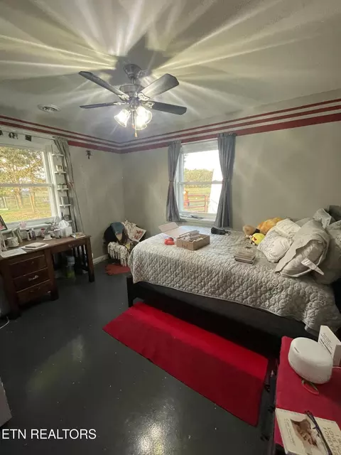 144 Standing Rock Rd, Deer Lodge, TN 37726 photo 24