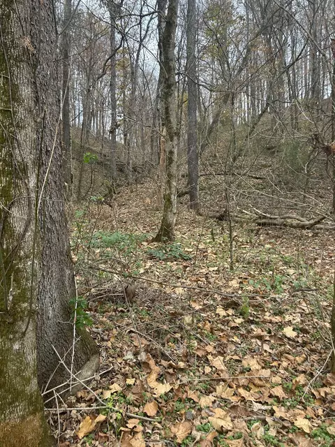 0 Red Boiling Road Spgs, Red Boiling Springs, TN 37150