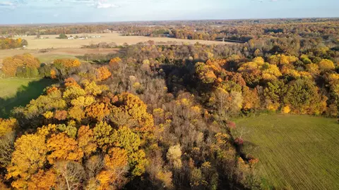 Other - 3941 Baggett Rd, Springfield, TN 37172 photo 6 of 8