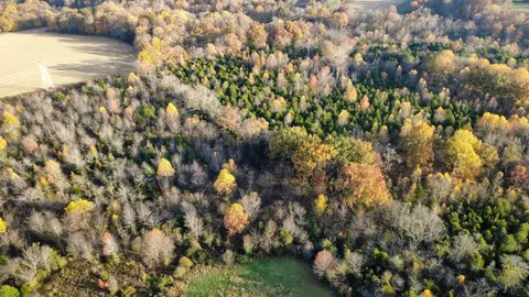 View/Area - 3941 Baggett Rd, Springfield, TN 37172 photo 5 of 10