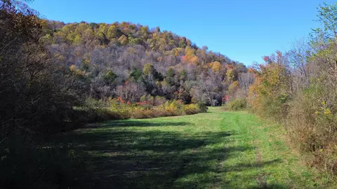 0 Hollis Creek Rd S, Woodbury, TN 37190