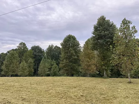 0 Haley Ln, Lynchburg, TN 37352