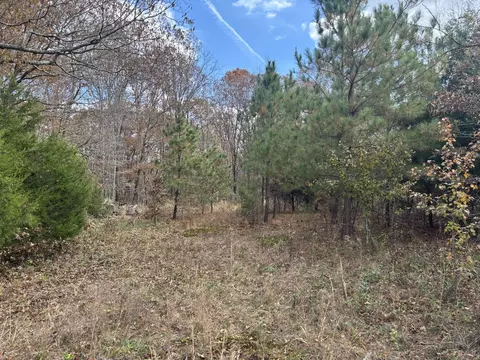0 Metal Ford Rd, Hohenwald, TN 38462