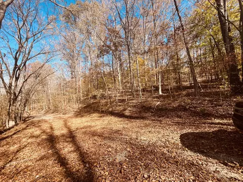 0 Arrow Head Cir, Parsons, TN 38363