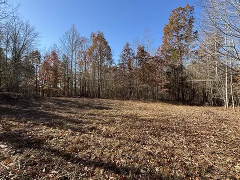 1212 Second Creek Rd, Lutts, TN 38471