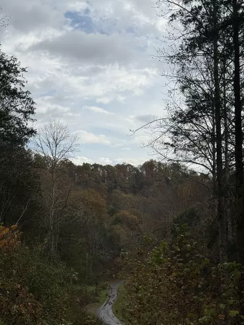 634 Hensley Creek Ln, Whitleyville, TN 38588