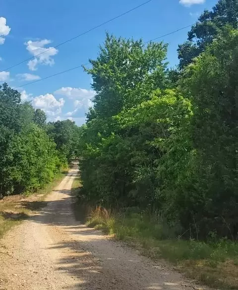 19 Chinkapin Rd, Sugar Tree, TN 38380