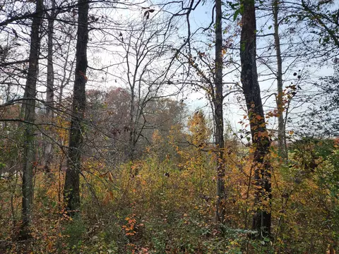 0 Tullahoma Rd, Winchester, TN 37398
