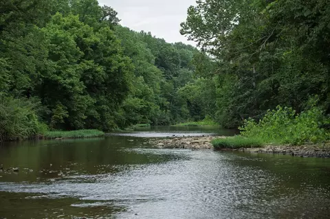 1125 Dawson Rd, White Bluff, TN 37187