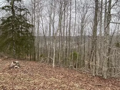 0 Austin Ridge Rd, Baxter, TN 38544 photo 18