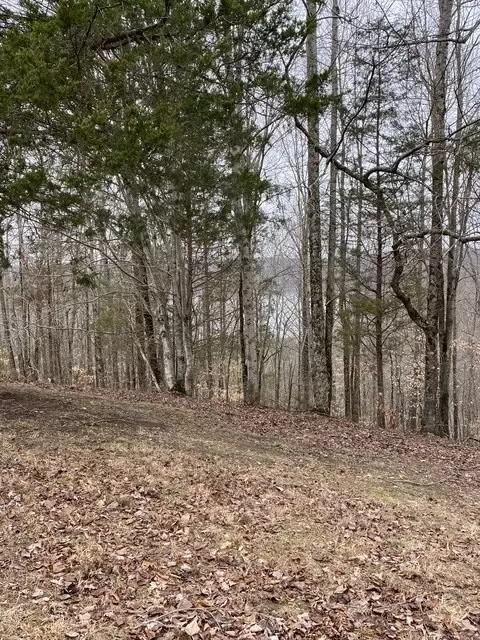 0 Austin Ridge Rd, Baxter, TN 38544 photo 17